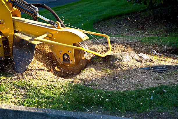 Artificial Turf Installation in Glandorf, OH